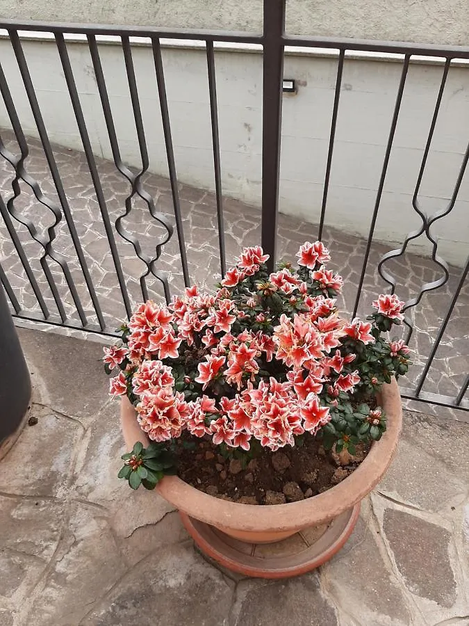Casa Vacanze Da Cinzia Zanica Guest house